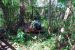 08-03-02, 021,  Dinosuar World, Fla
