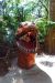 08-03-02, 025,  Dinosuar World, Fla