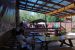 08-03-02, 029,  Dinosuar World, Fla