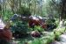 08-03-02, 040,  Dinosuar World, Fla