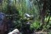 08-03-02, 041,  Dinosuar World, Fla