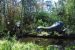 08-03-02, 042,  Dinosuar World, Fla