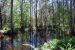08-03-02, 043,  Dinosuar World, Fla