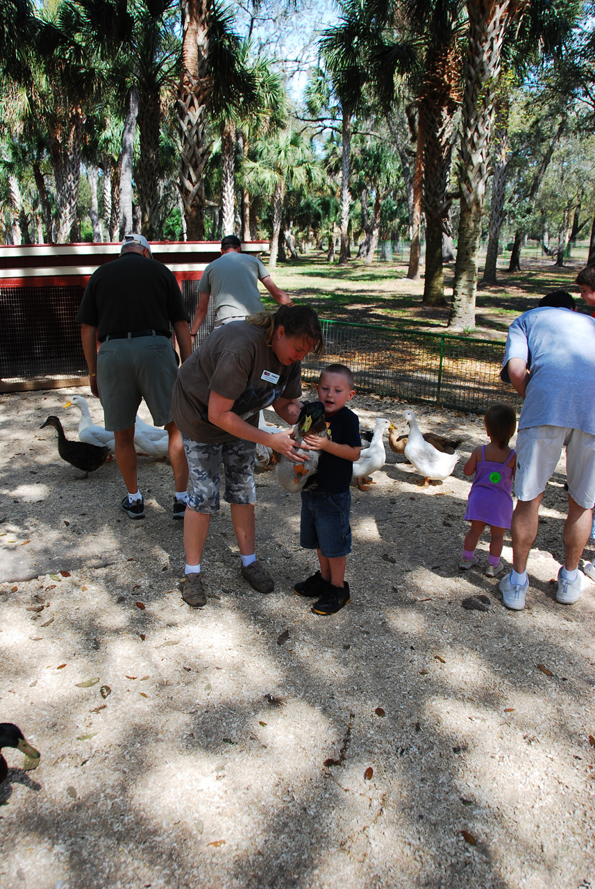 08-03-03, 055, Green Meadows Farm, Fla