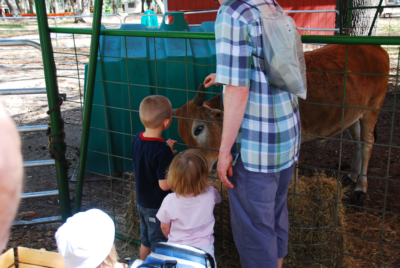 08-03-03, 062, Green Meadows Farm, Fla