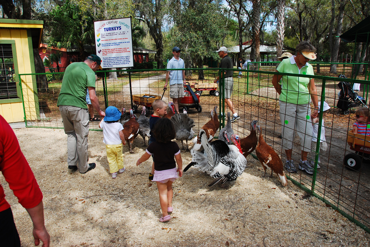 08-03-03, 064, Green Meadows Farm, Fla