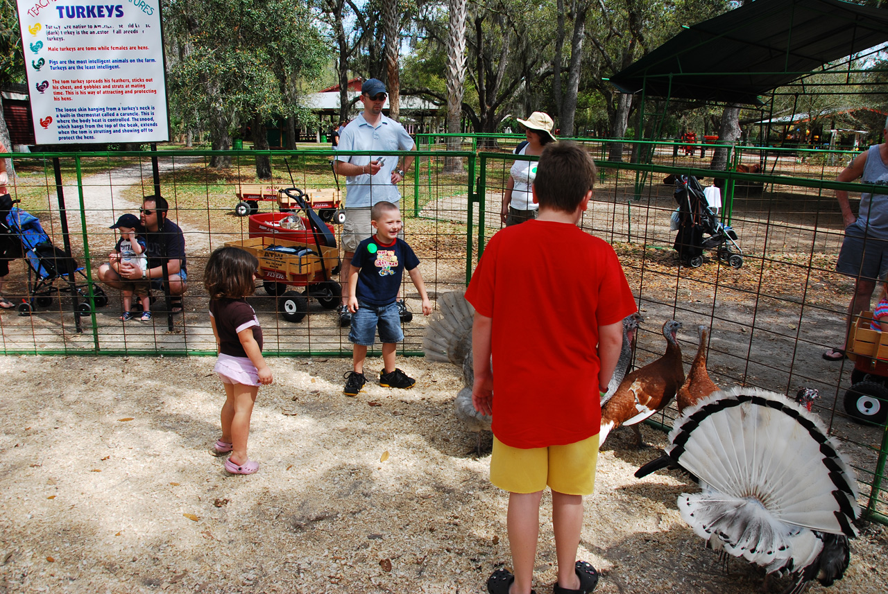 08-03-03, 065, Green Meadows Farm, Fla