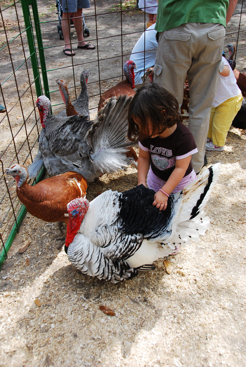 08-03-03, 067, Green Meadows Farm, Fla