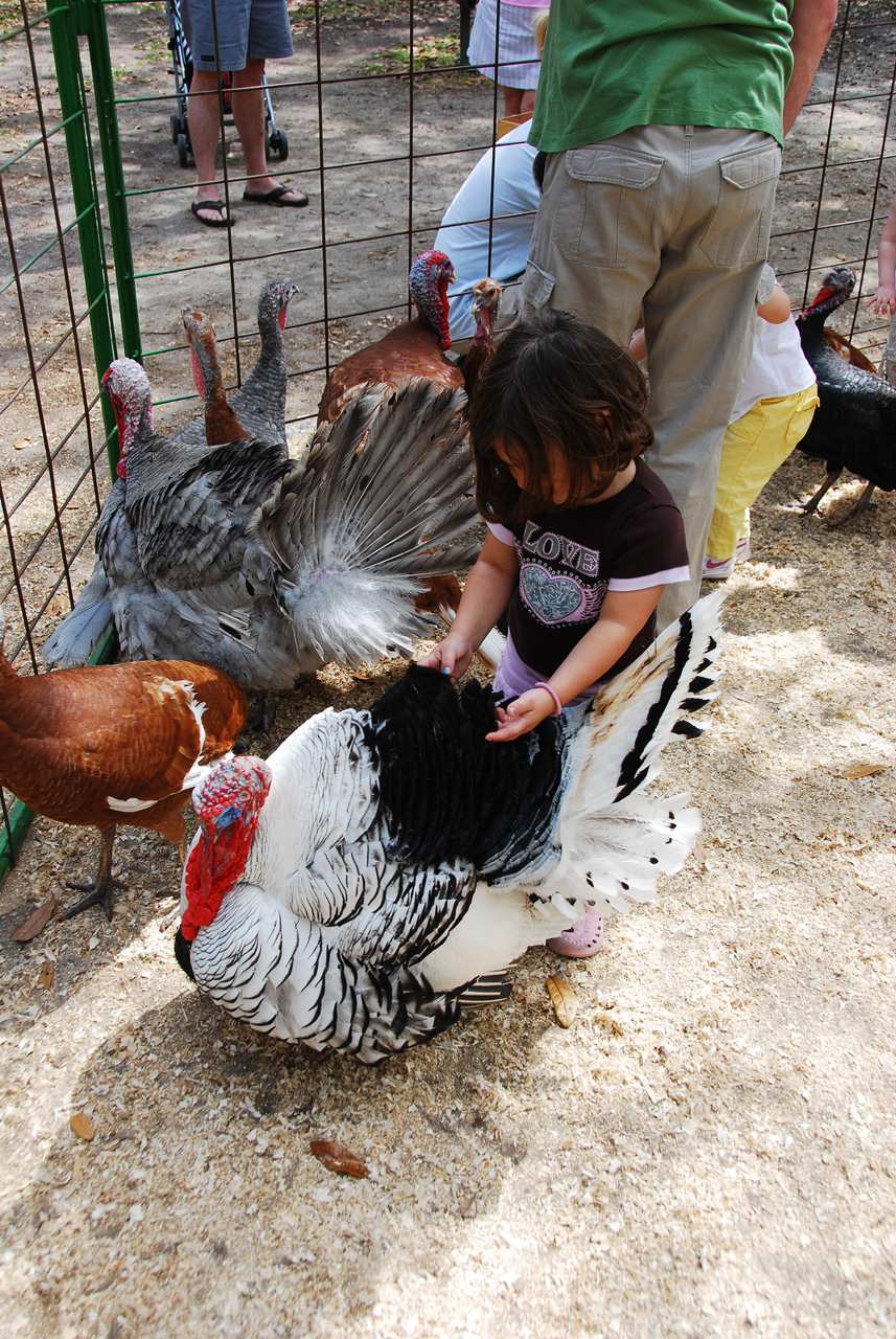 08-03-03, 068, Green Meadows Farm, Fla