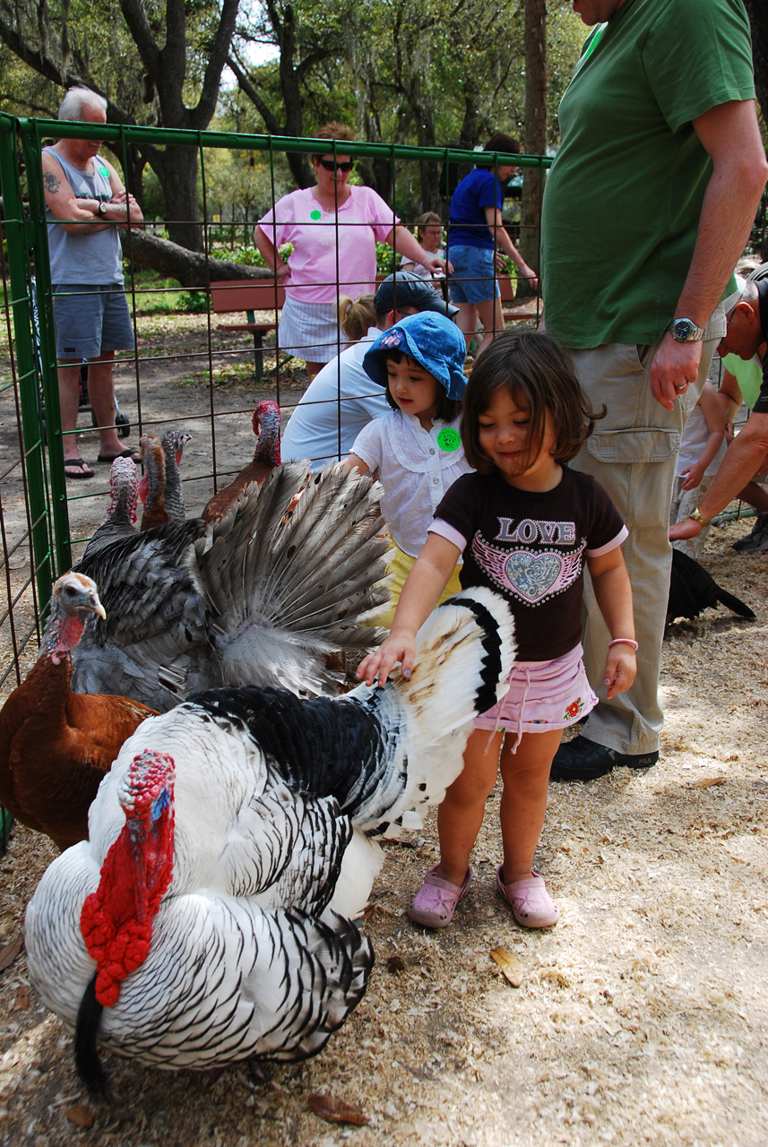 08-03-03, 069, Green Meadows Farm, Fla
