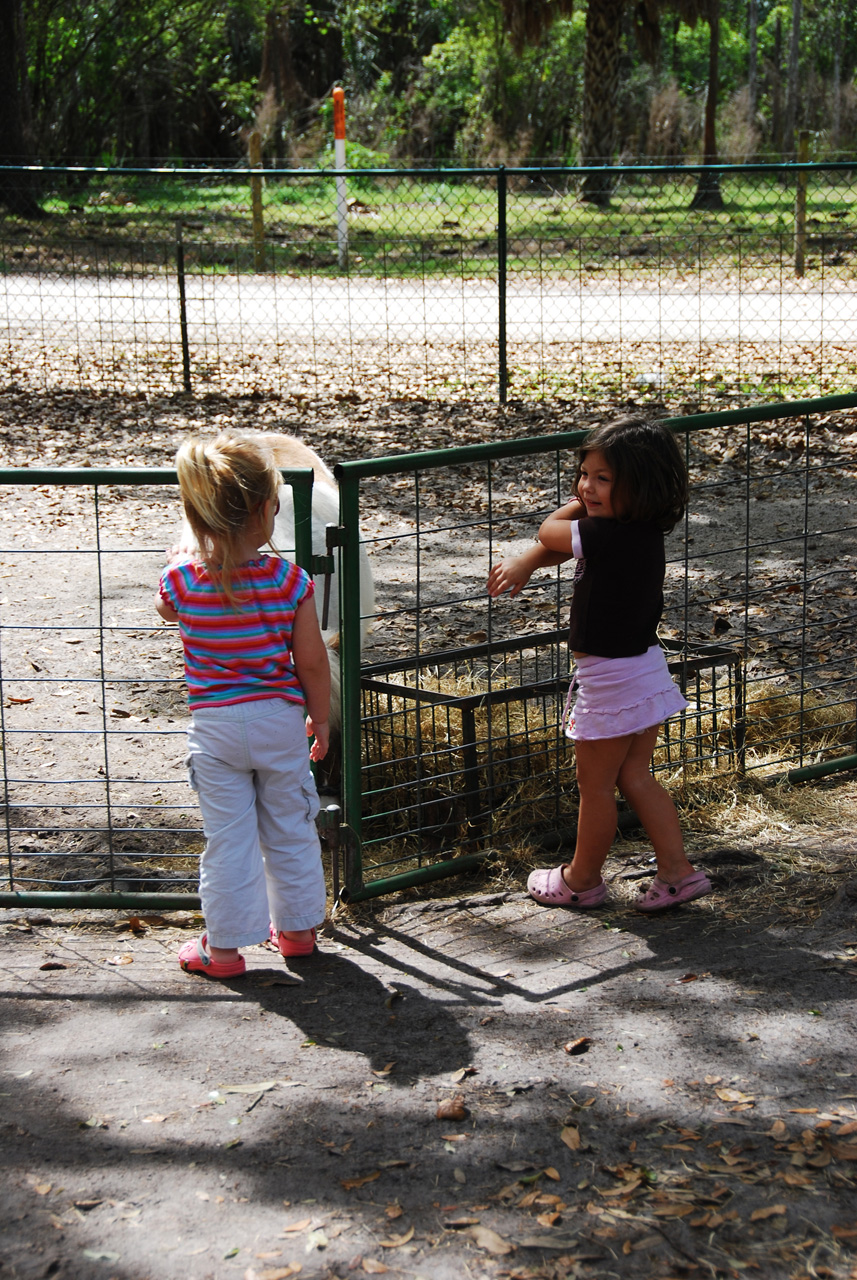 08-03-03, 086, Green Meadows Farm, Fla
