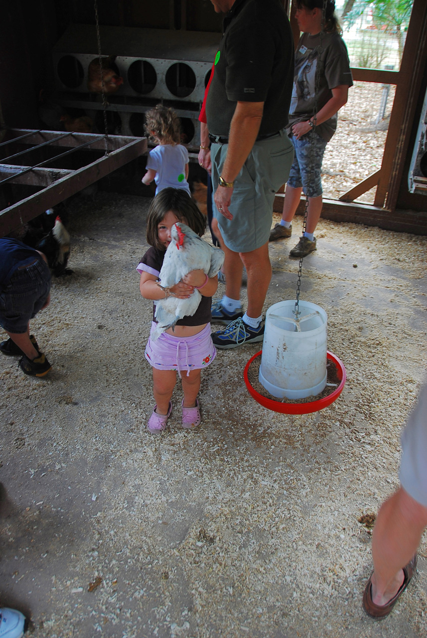 08-03-03, 088, Green Meadows Farm, Fla