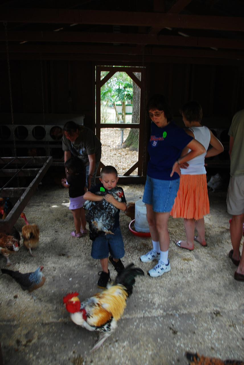 08-03-03, 099, Green Meadows Farm, Fla