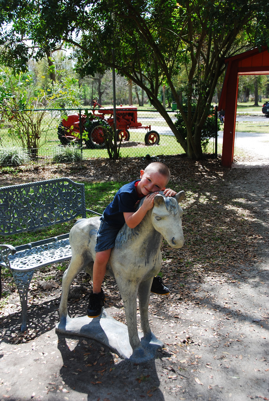 08-03-03, 117, Green Meadows Farm, Fla
