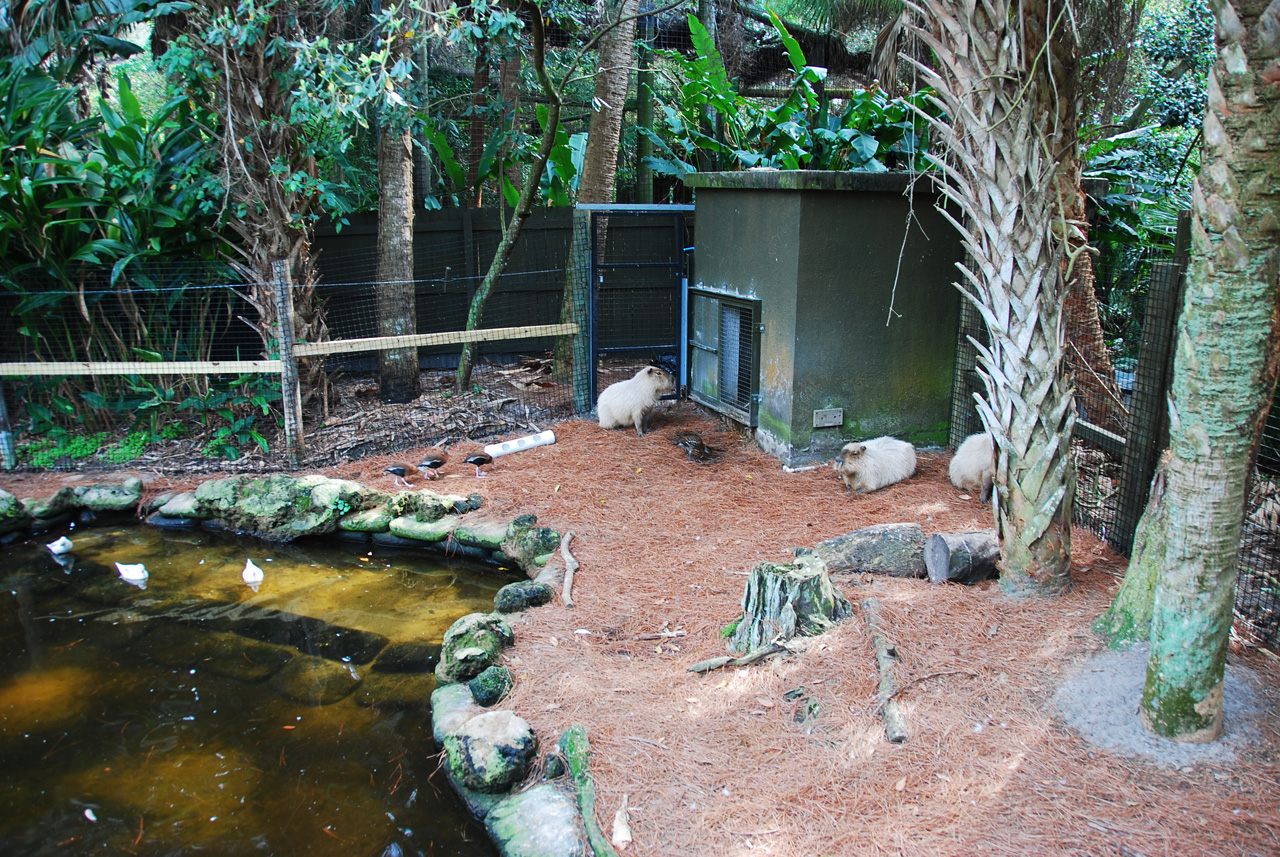 08-03-05, 007, Brevard Zoo, Fla