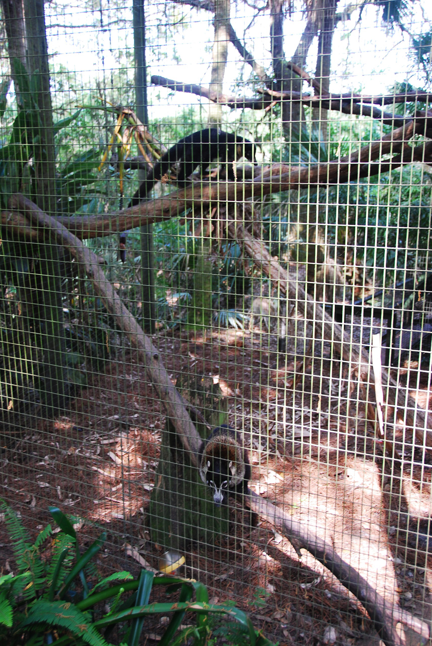 08-03-05, 008, Brevard Zoo, Fla