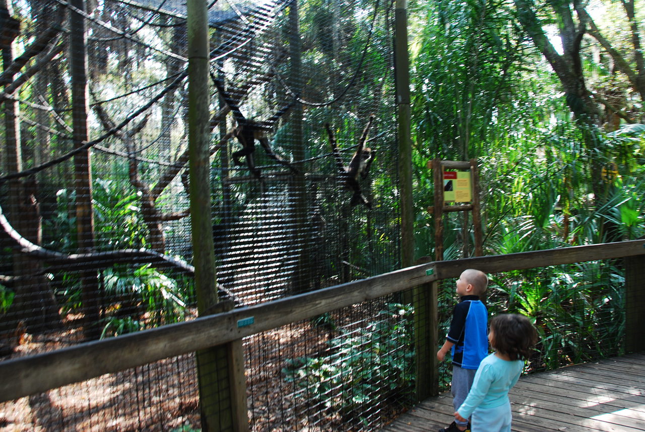 08-03-05, 010, Brevard Zoo, Fla