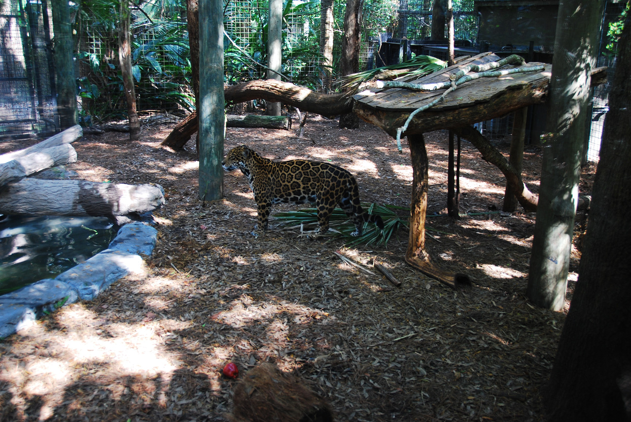 08-03-05, 012, Brevard Zoo, Fla