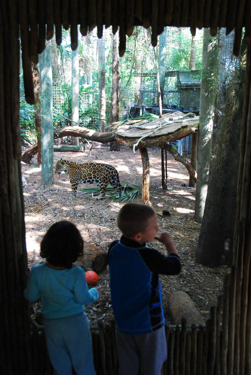 08-03-05, 013, Brevard Zoo, Fla