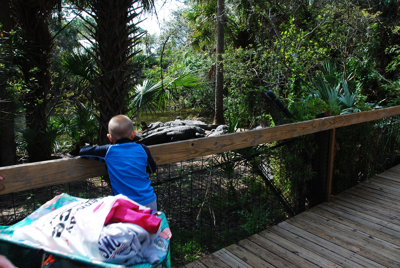 08-03-05, 015, Brevard Zoo, Fla