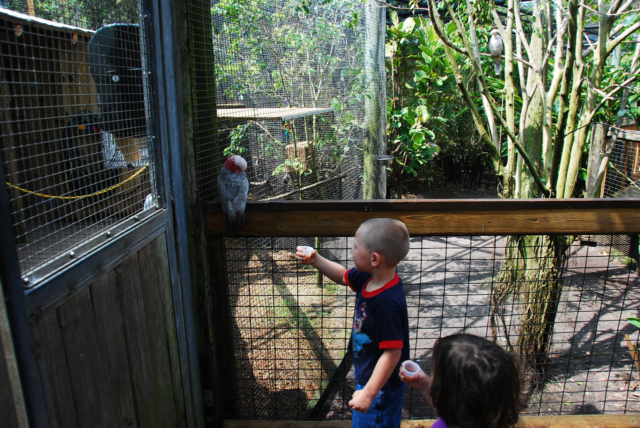 08-03-05, 032, Brevard Zoo, Fla