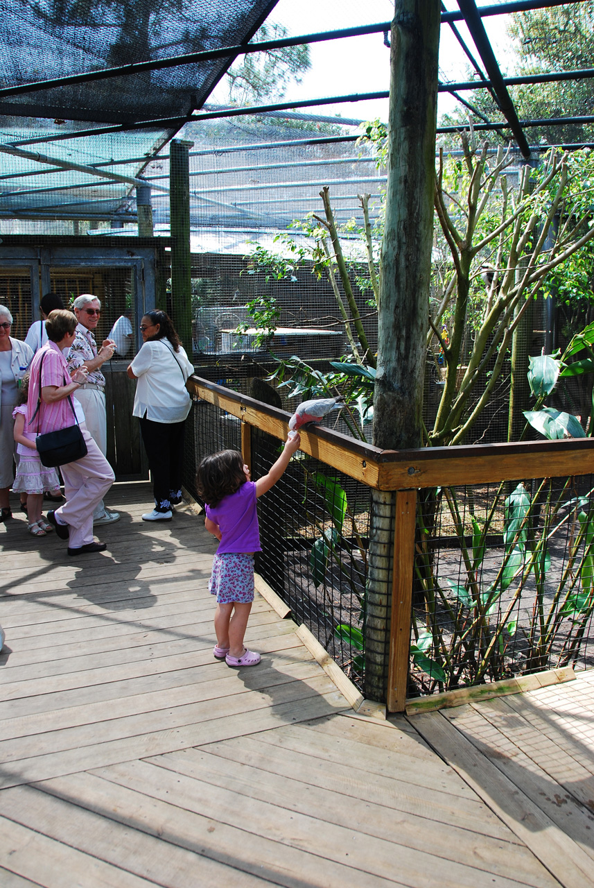 08-03-05, 041, Brevard Zoo, Fla