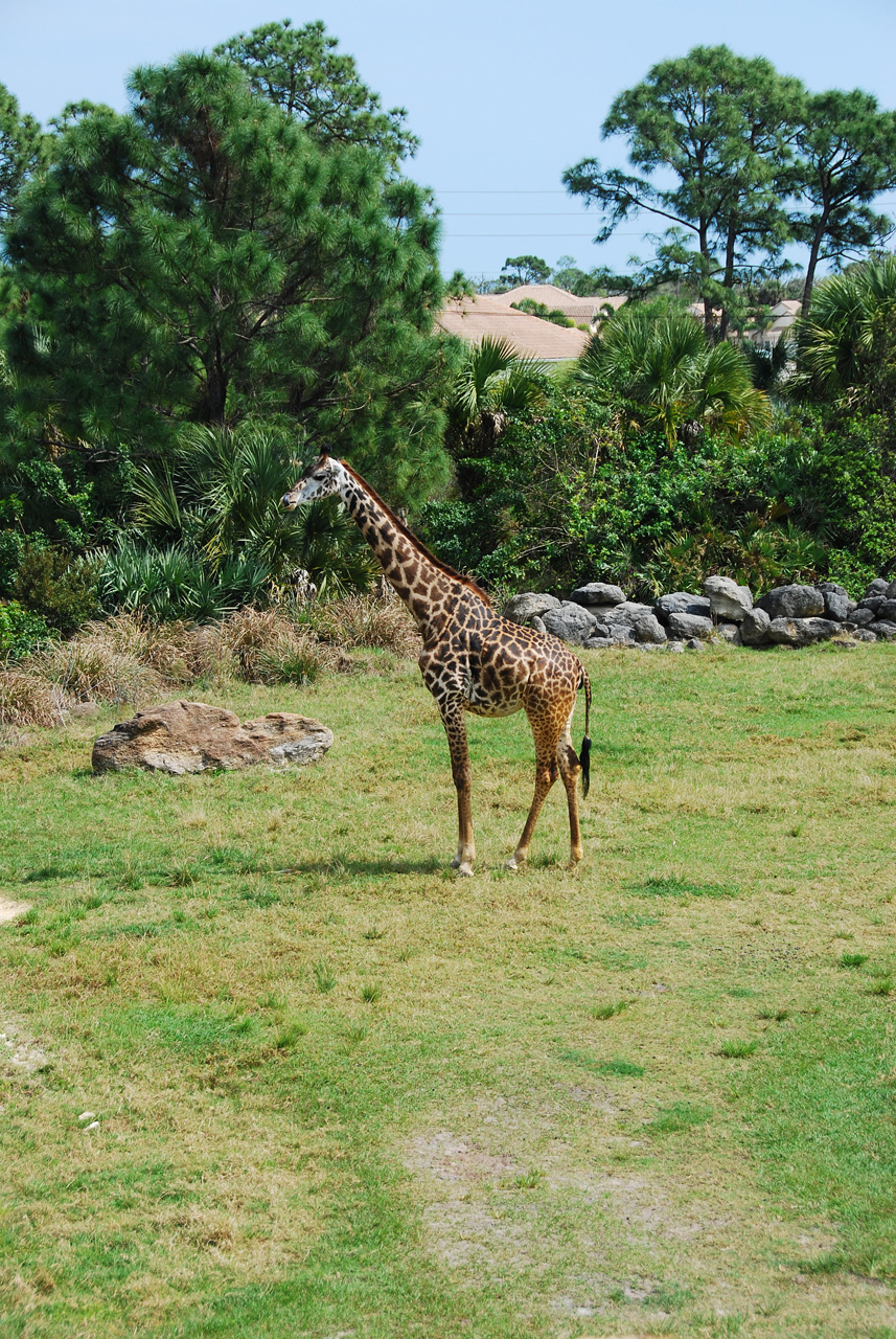 08-03-05, 042, Brevard Zoo, Fla
