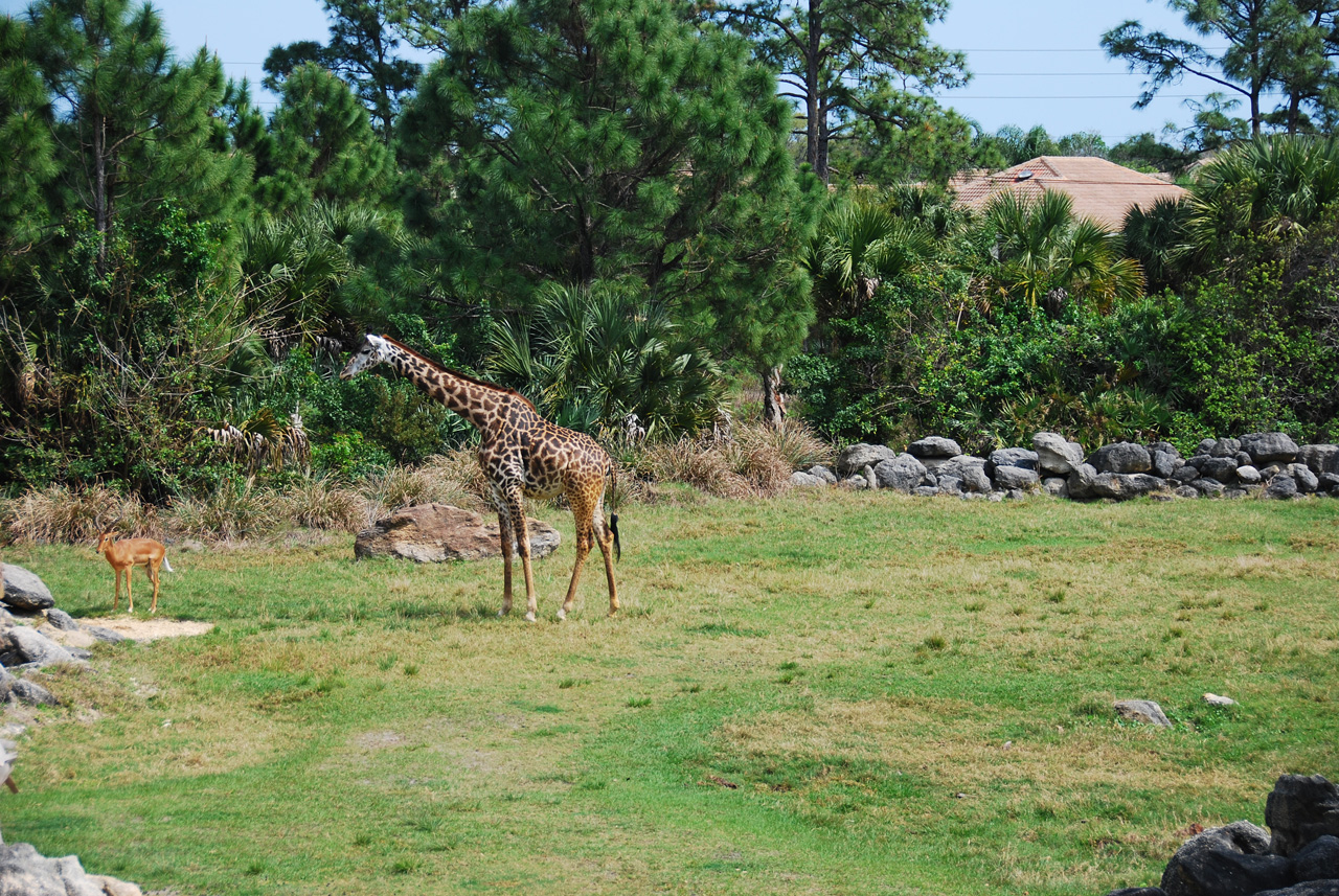 08-03-05, 043, Brevard Zoo, Fla