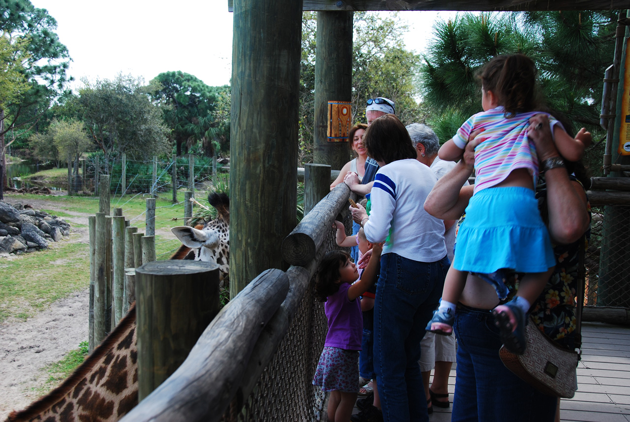 08-03-05, 044, Brevard Zoo, Fla