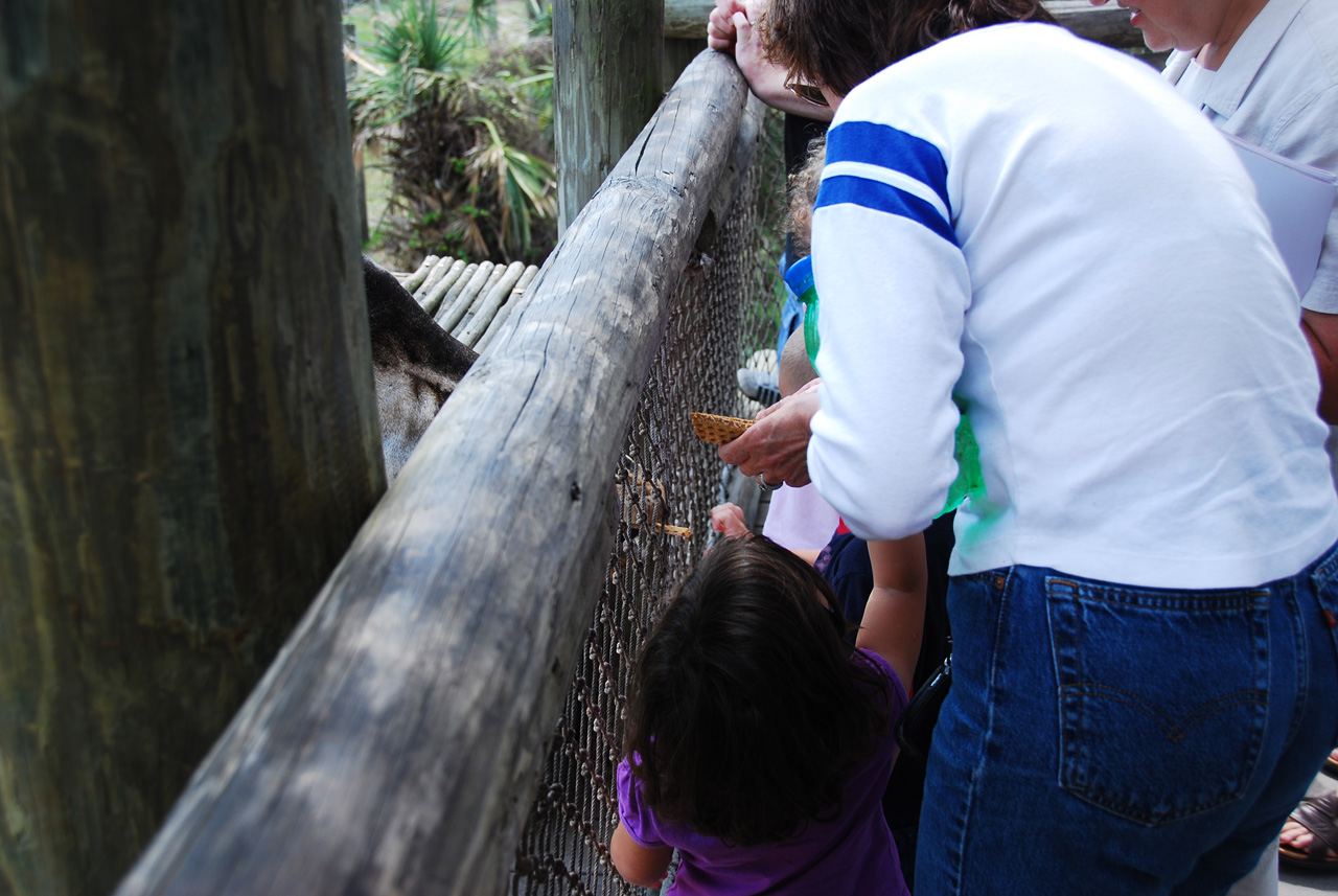 08-03-05, 045, Brevard Zoo, Fla