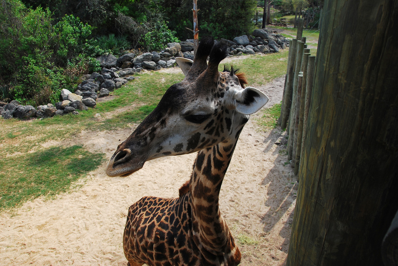 08-03-05, 047, Brevard Zoo, Fla