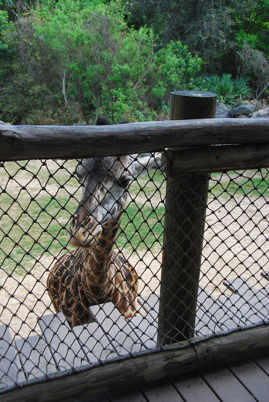 08-03-05, 048, Brevard Zoo, Fla