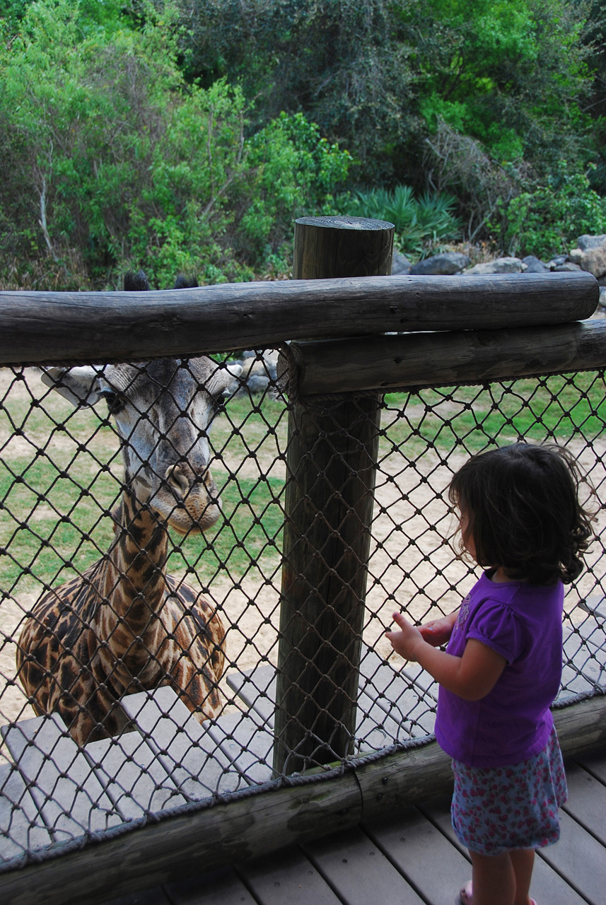 08-03-05, 049, Brevard Zoo, Fla