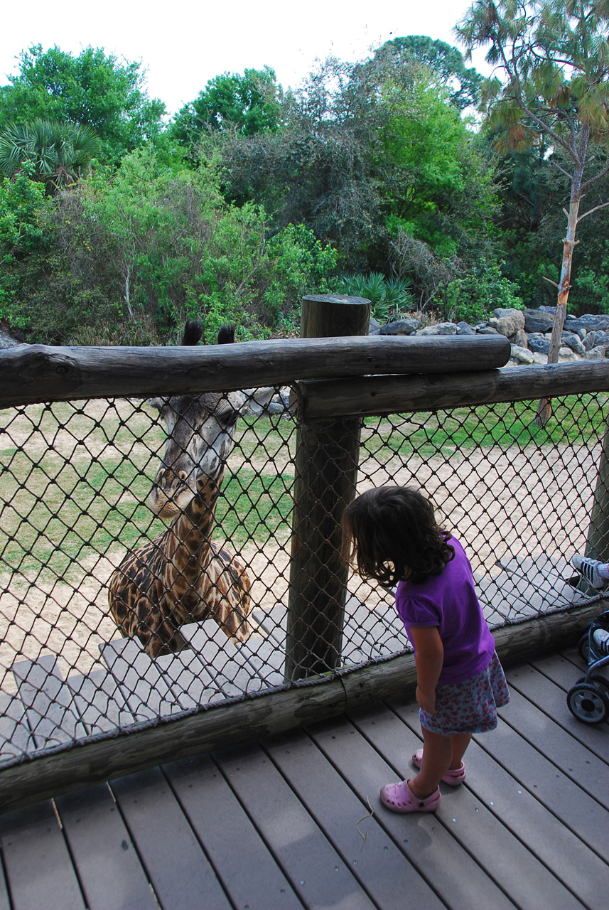 08-03-05, 050, Brevard Zoo, Fla