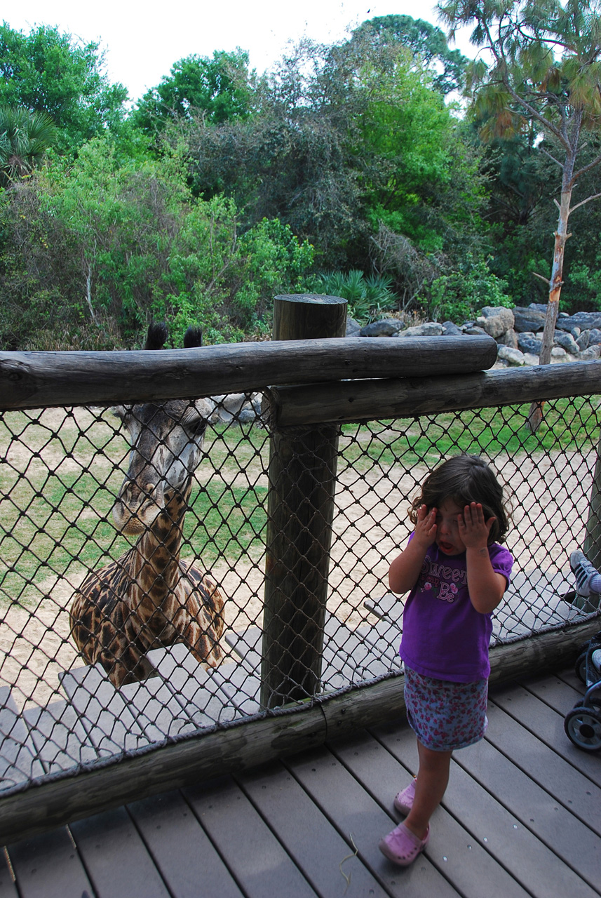 08-03-05, 051, Brevard Zoo, Fla