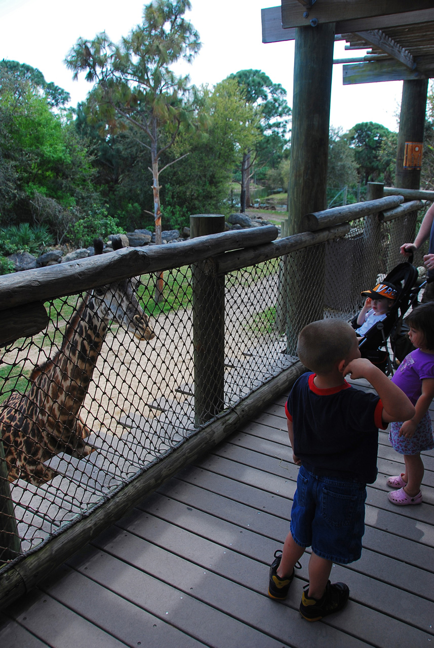 08-03-05, 052, Brevard Zoo, Fla