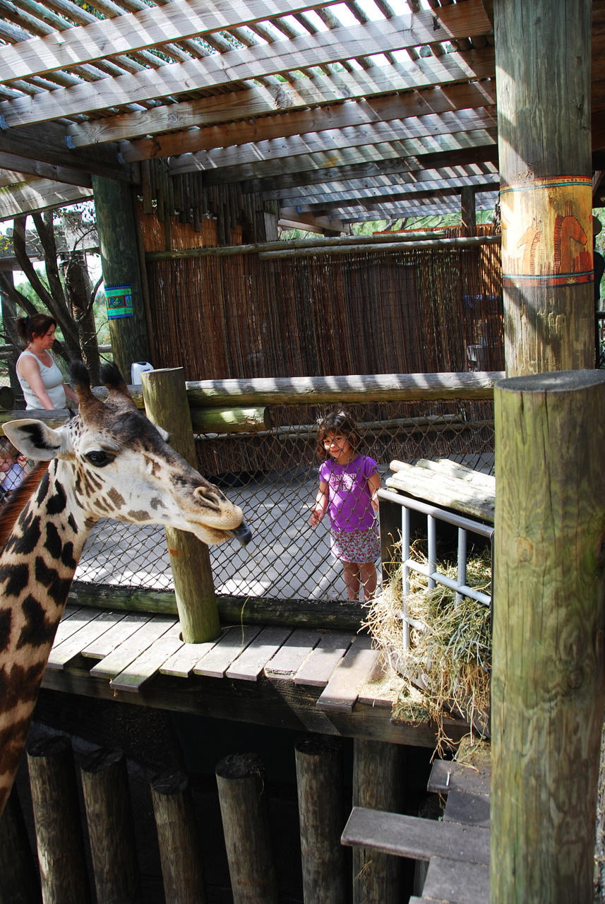 08-03-05, 056, Brevard Zoo, Fla