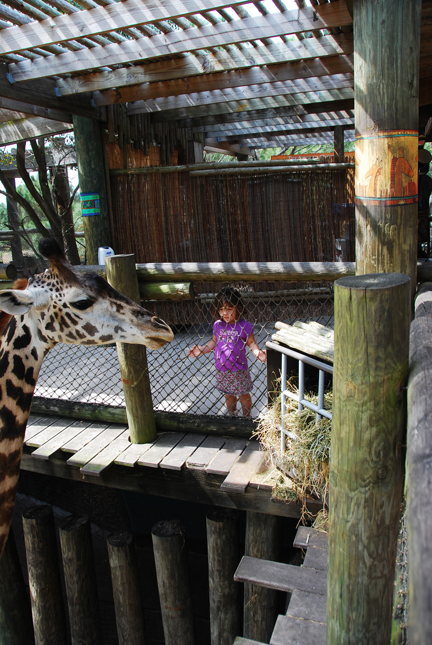 08-03-05, 057, Brevard Zoo, Fla