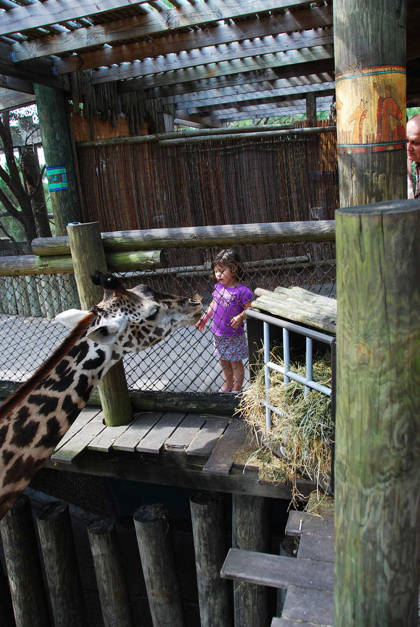 08-03-05, 058, Brevard Zoo, Fla