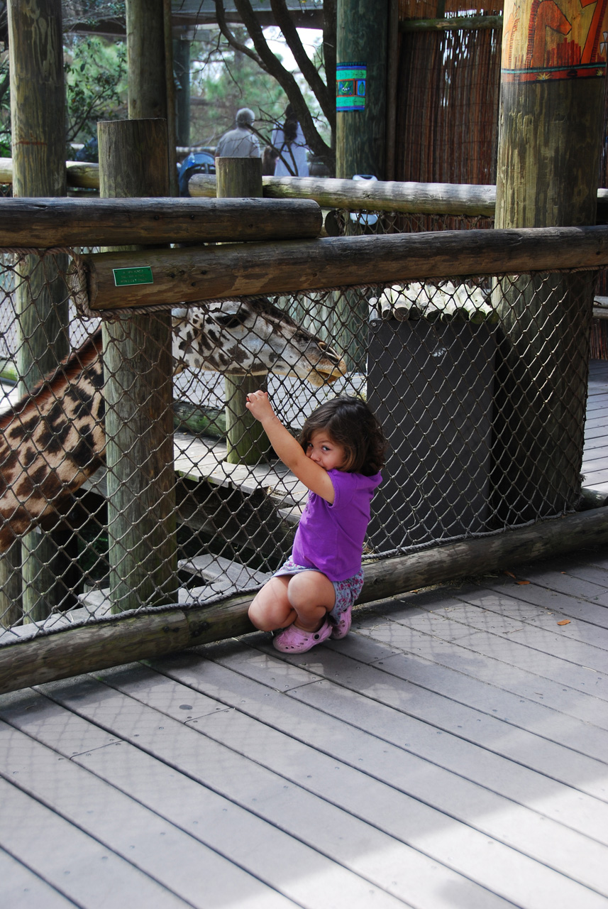 08-03-05, 059, Brevard Zoo, Fla
