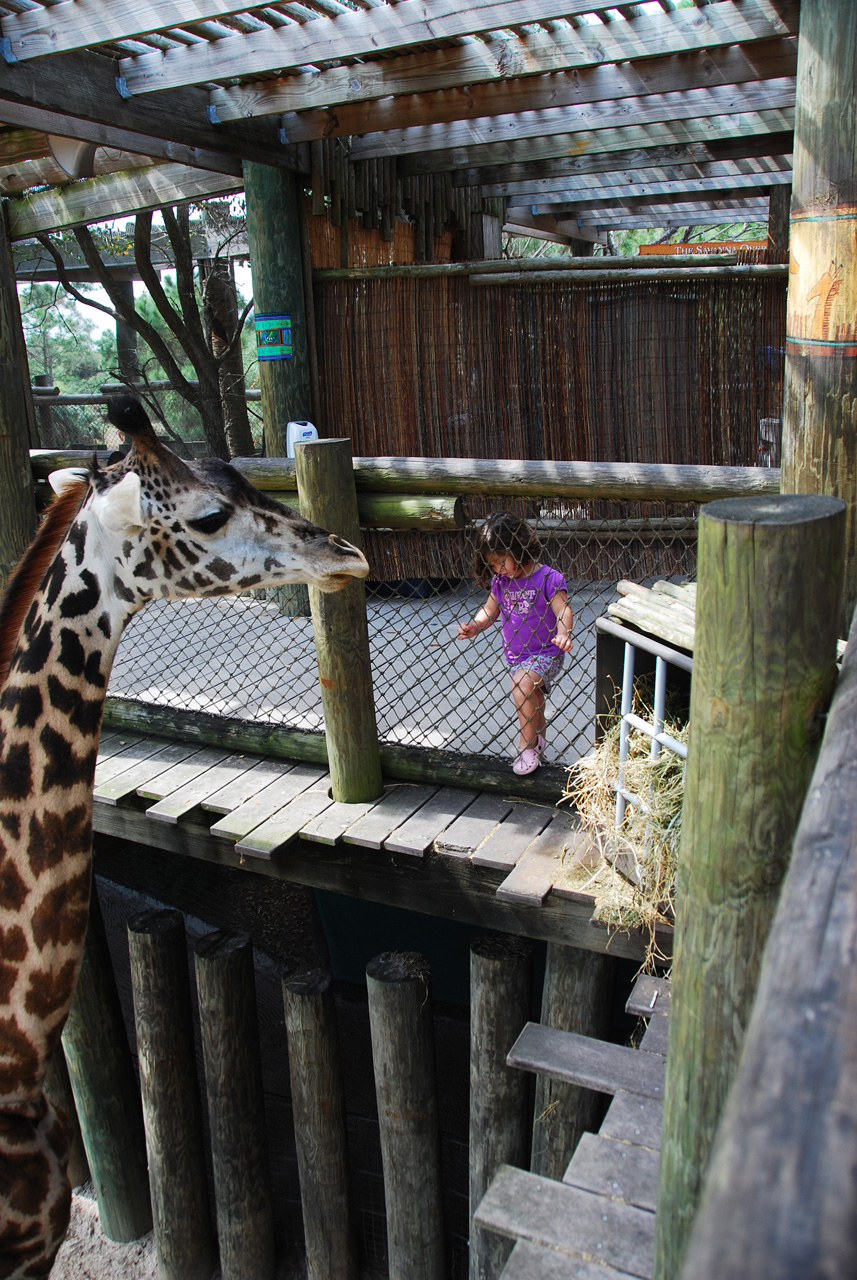 08-03-05, 060, Brevard Zoo, Fla
