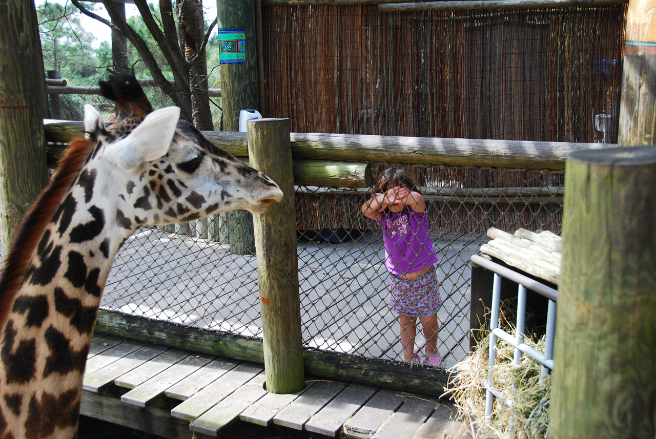 08-03-05, 061, Brevard Zoo, Fla