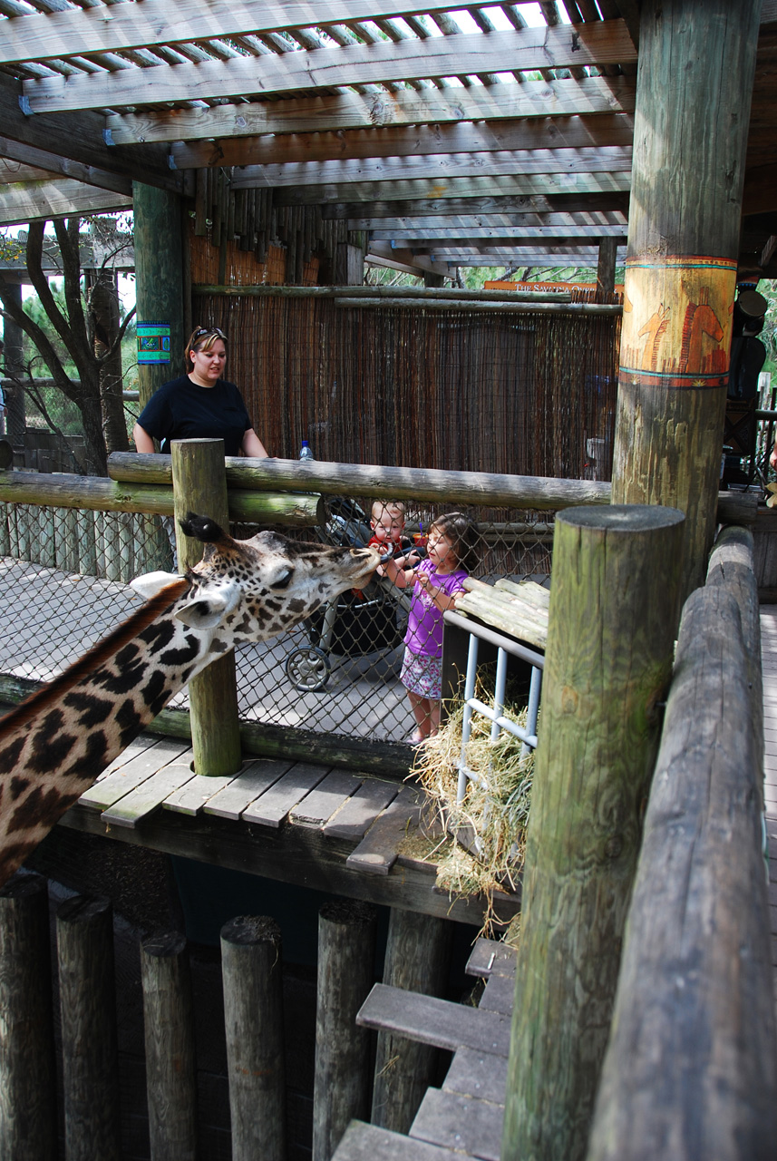 08-03-05, 062, Brevard Zoo, Fla