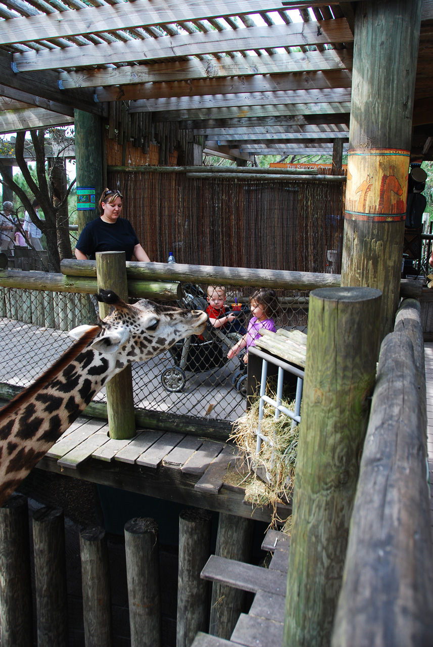 08-03-05, 063, Brevard Zoo, Fla