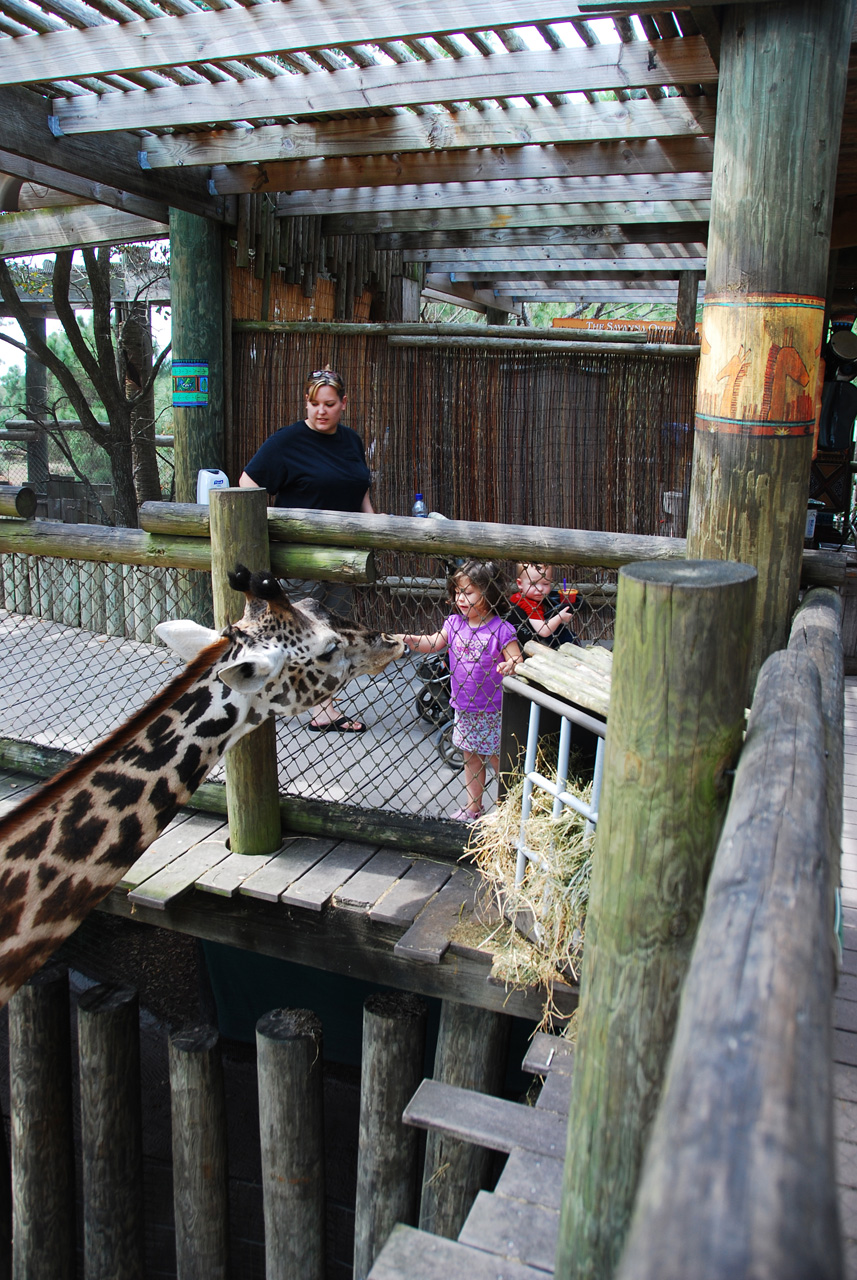 08-03-05, 064, Brevard Zoo, Fla