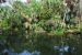 08-03-05, 006, Brevard Zoo, Fla