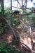 08-03-05, 008, Brevard Zoo, Fla