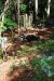 08-03-05, 011, Brevard Zoo, Fla
