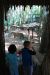 08-03-05, 013, Brevard Zoo, Fla