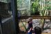 08-03-05, 032, Brevard Zoo, Fla